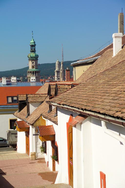 Vinosseum Bor- és Apartmanház Sopron Exterior foto